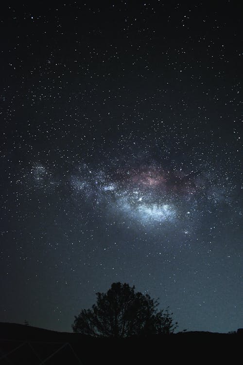 Photos gratuites de arbre, astrologie, astronomie