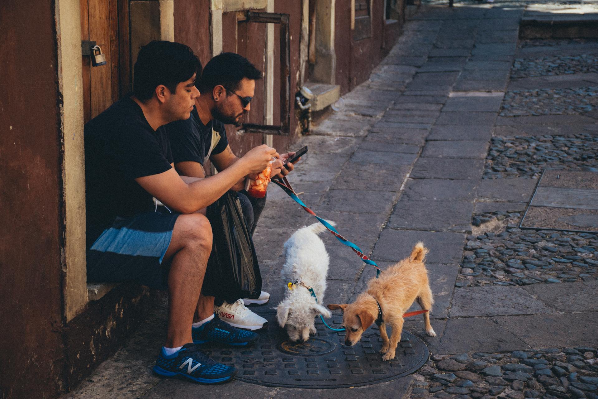 Two Men with Dogs on the Sidewalk in City