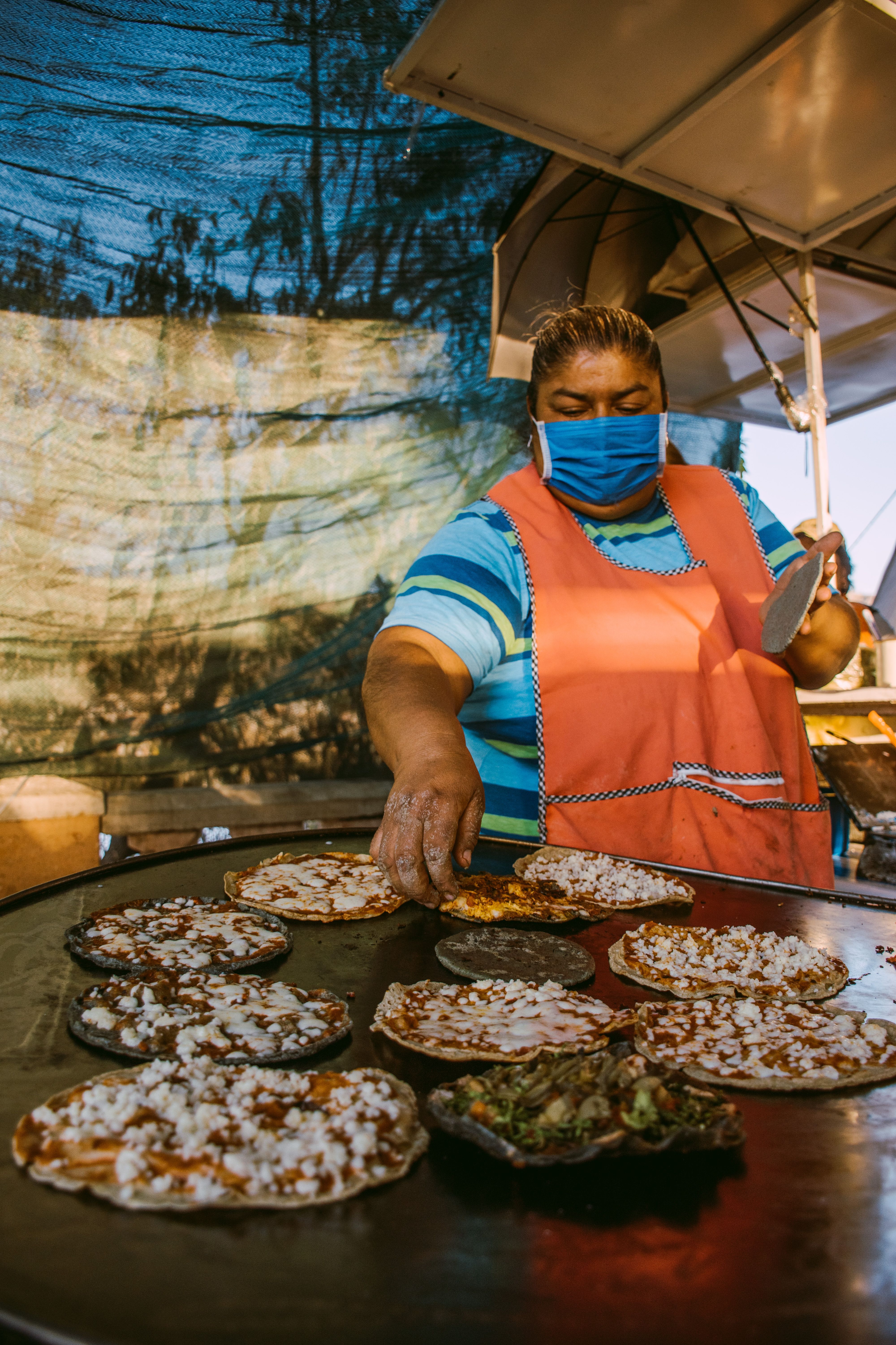 Foto de stock gratuita sobre aderezos, al aire libre, américa del norte