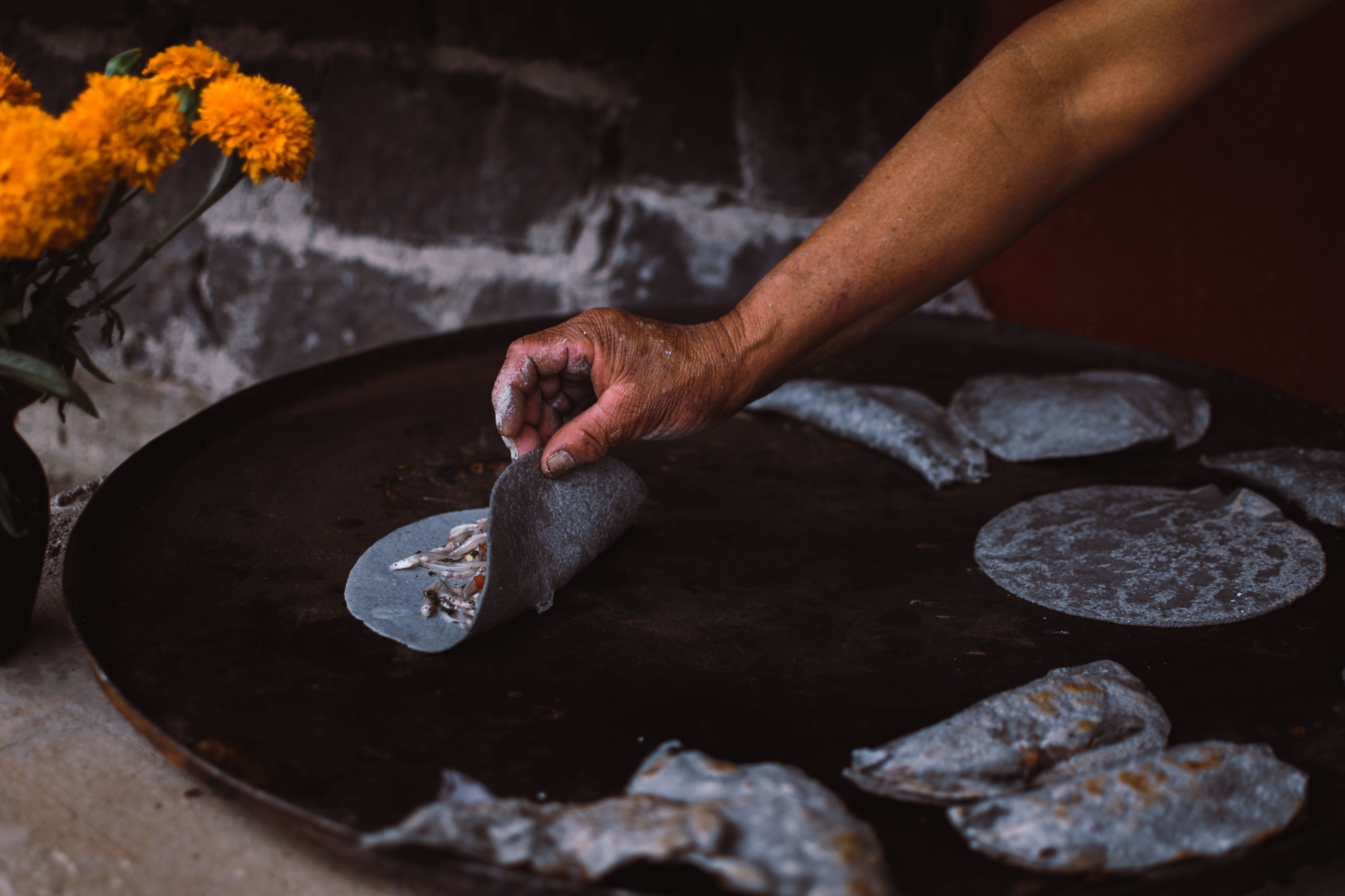 Foto de stock gratuita sobre américa del norte, arte culinario