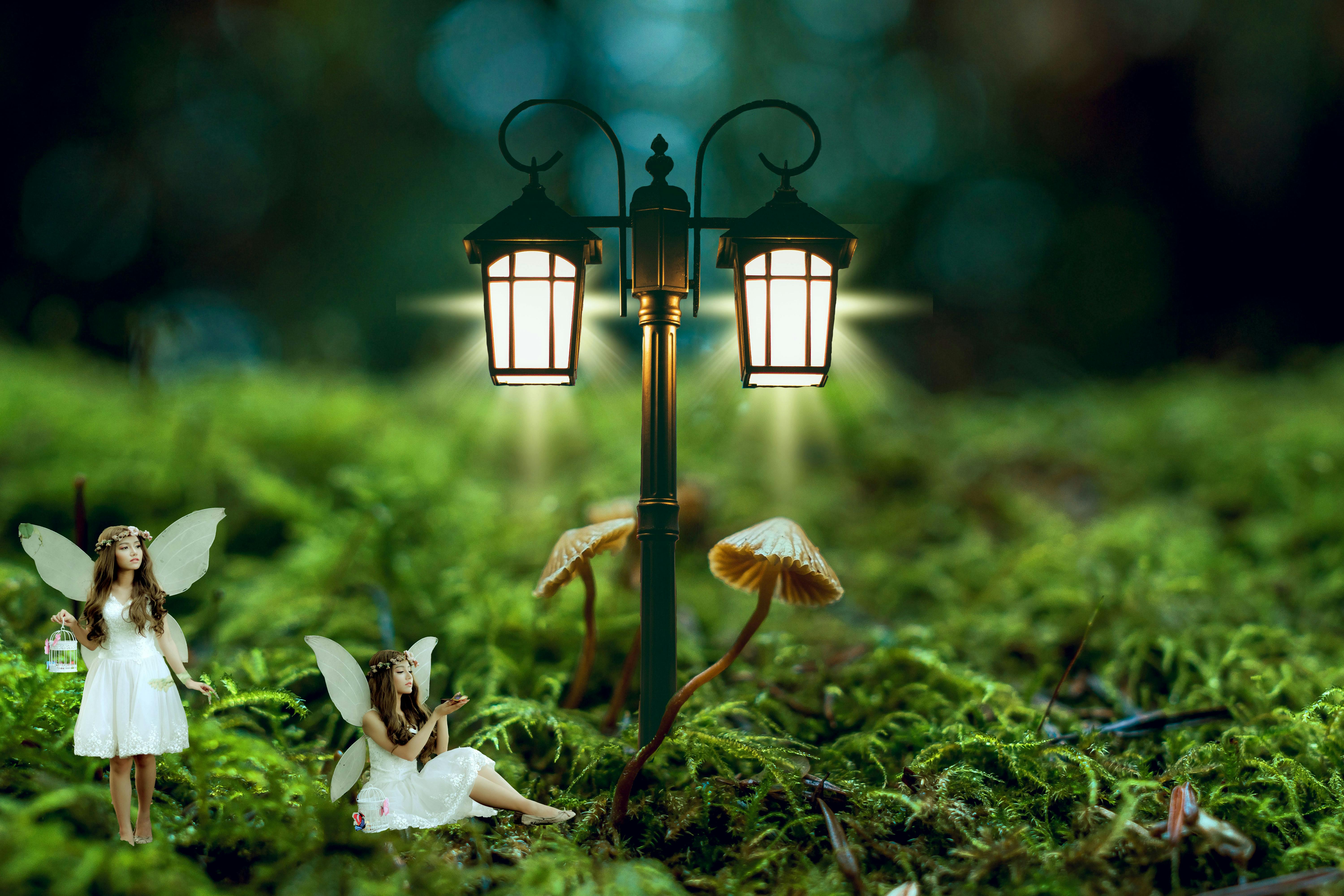 Photo Gratuite De Fae Fee Foret Photo Gratuite De Fae Fee Foret