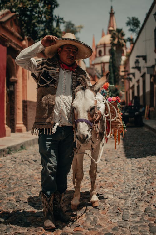 Man in Sombrero Posing with Donkey
