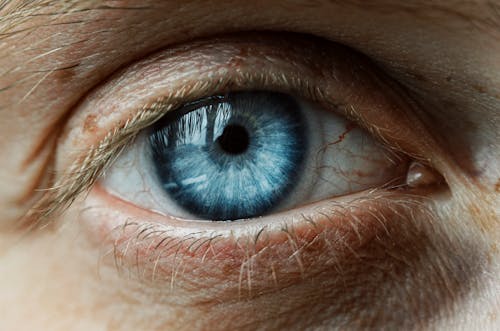 Free Blue Eye in Close Up Stock Photo