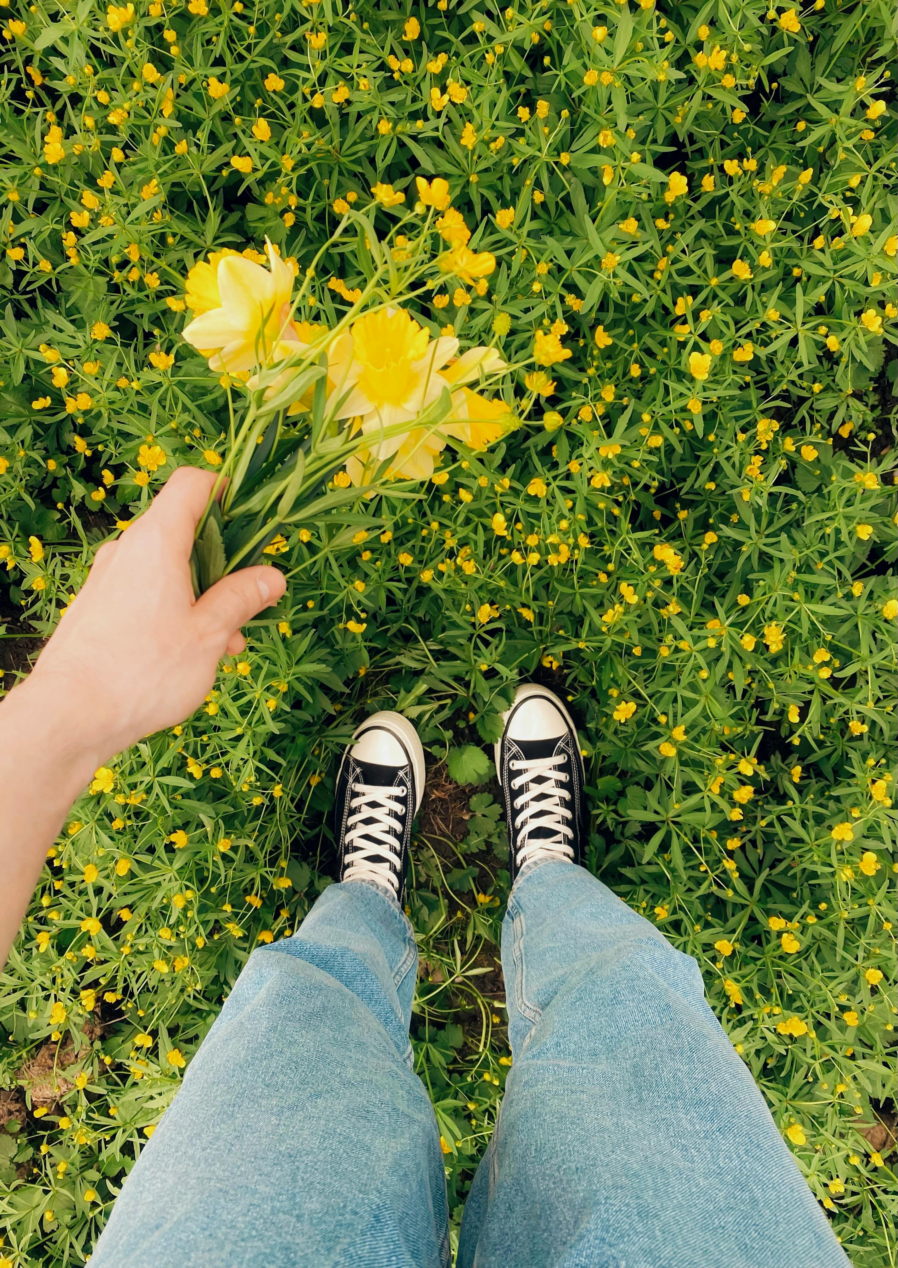 Person Gather Hand and Foot in Center · Free Stock Photo