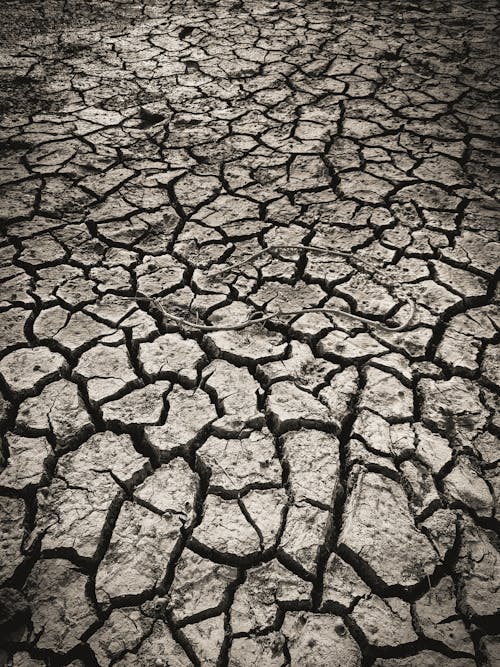 不毛之地, 乾旱, 全球暖化 的 免費圖庫相片