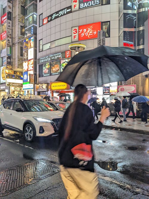 Pedestrians in Downtown in Rain