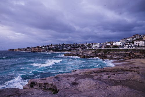 Houses Near Ocean Water