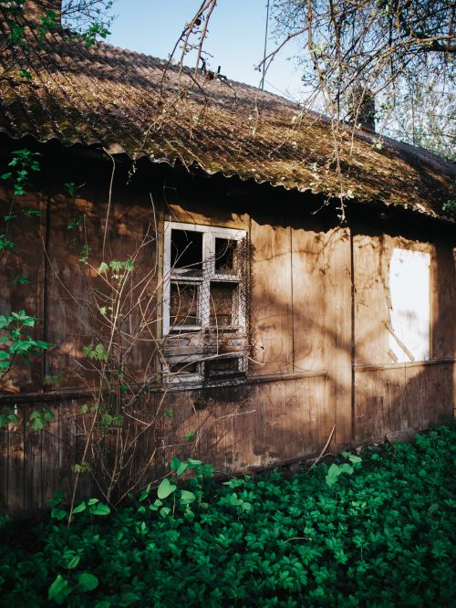 Free A weathered wooden house with overgrown flora and broken windows in a lush setting. Stock Photo