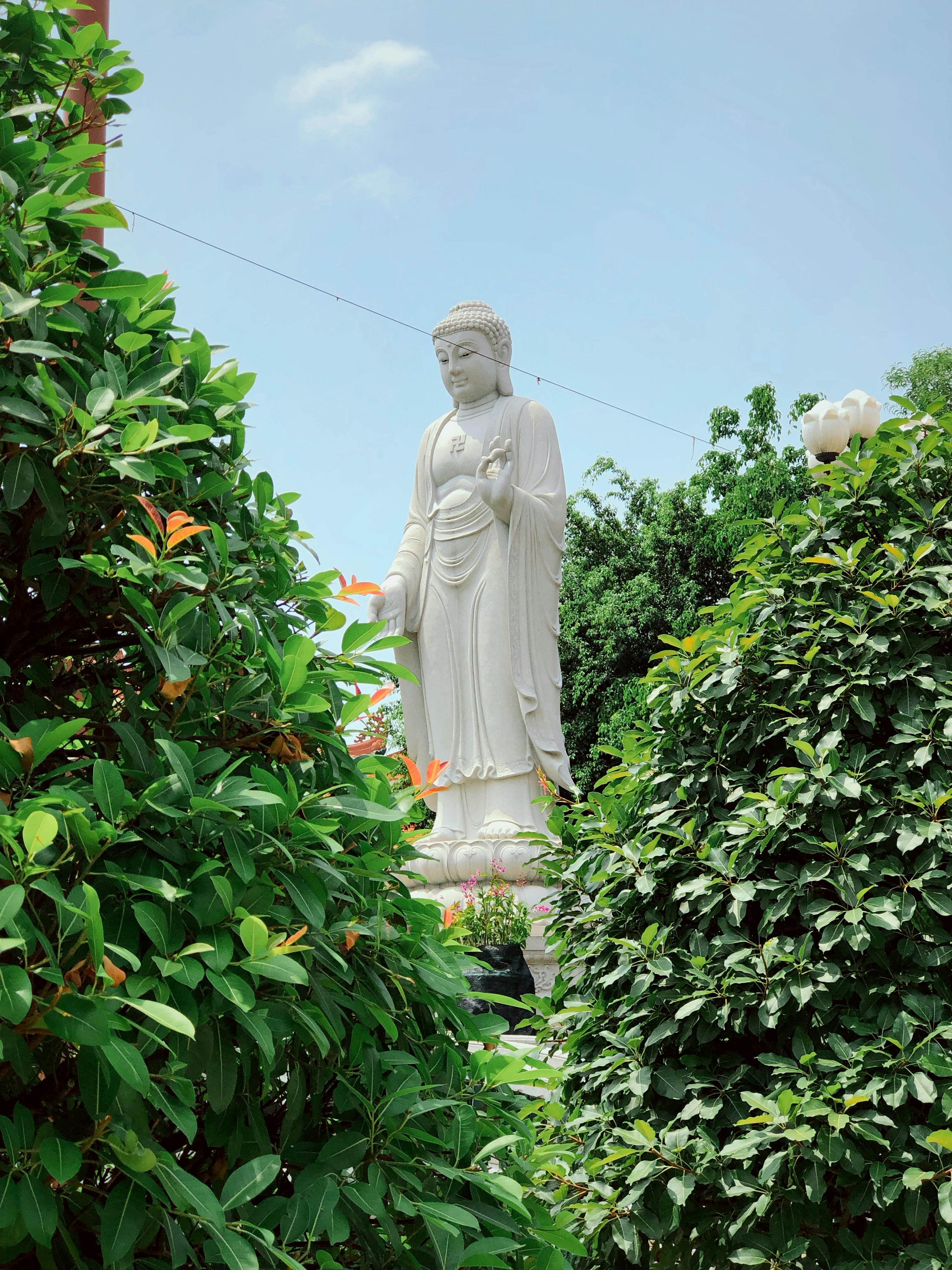 Little Buddha Statue On Field Promoting Stock Photo 2249457317