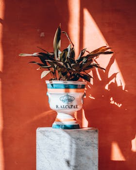 Elegant ceramic vase with lush plant casting shadows in the sunlight at Alcázar, Seville.