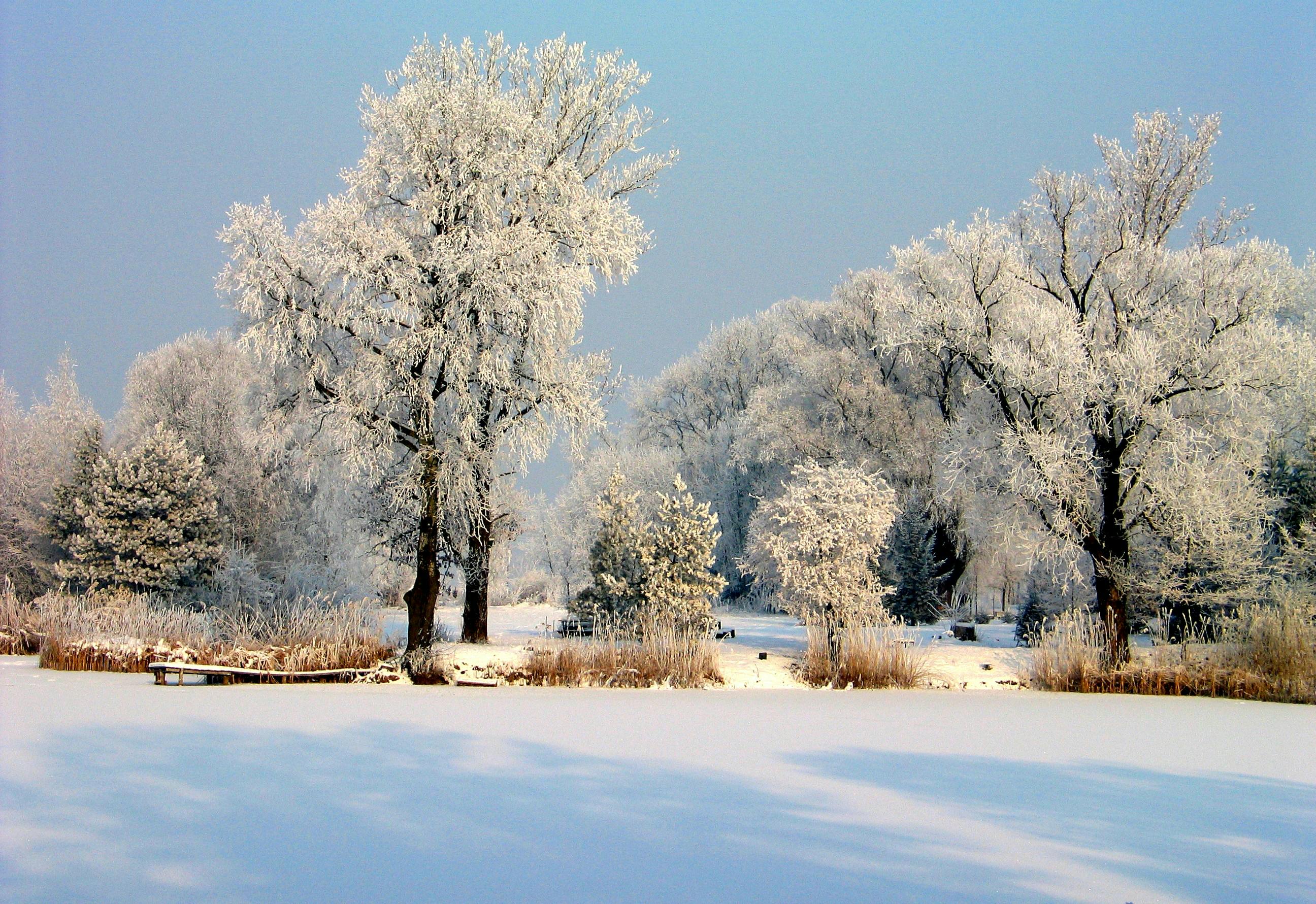 Great Smoky Mountains Glow In Snow, But Roads Remain Shut