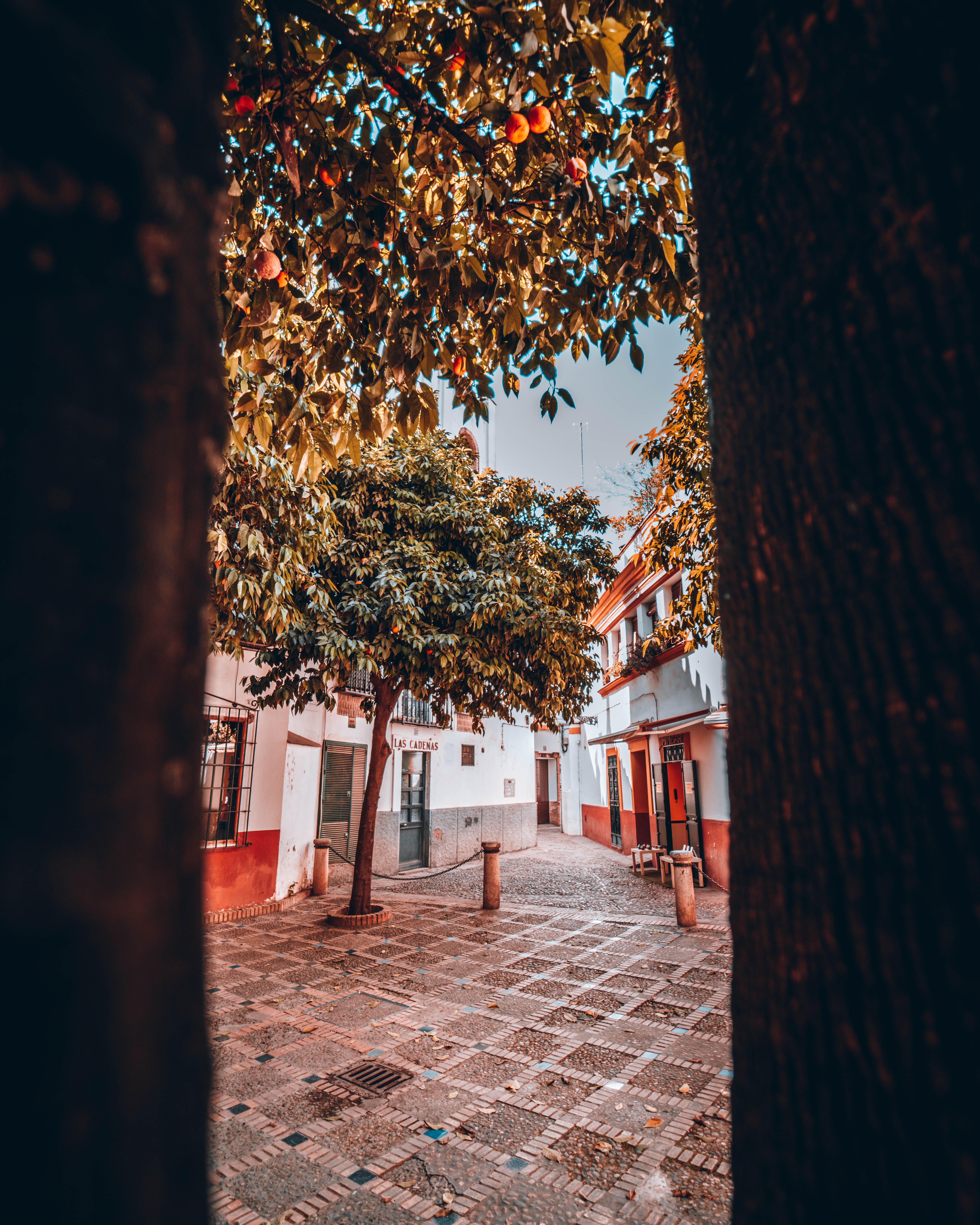 Fotomural Fotolia