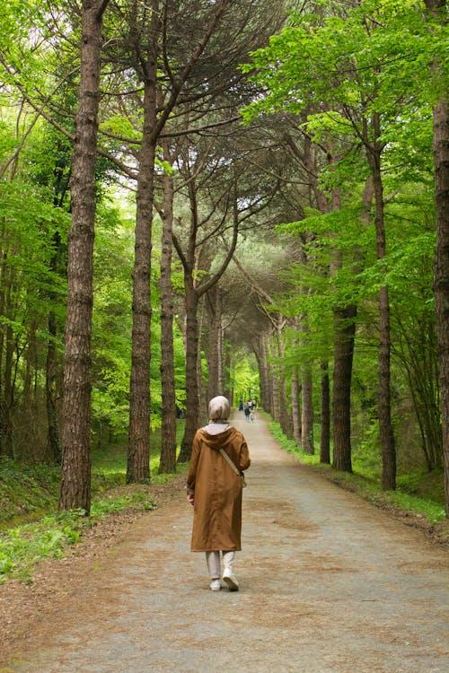 Kostnadsfri bild av kvinna, minskande perspektiv, skog