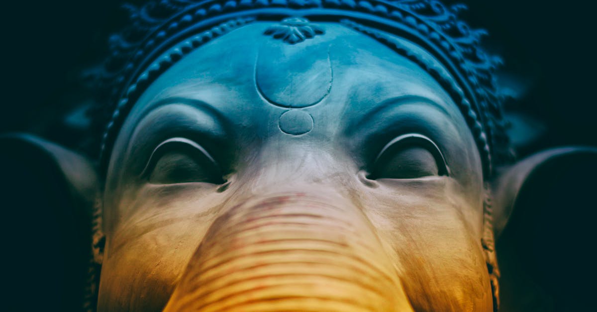 How to draw a simple elephant head