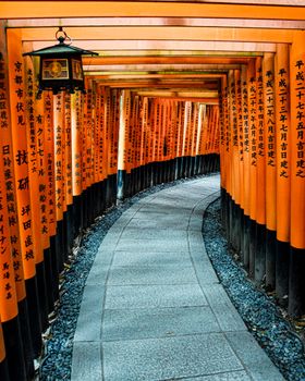 Explore the mesmerizing path of torii gates at Fushimi Inari Shrine, Kyoto, Japan.