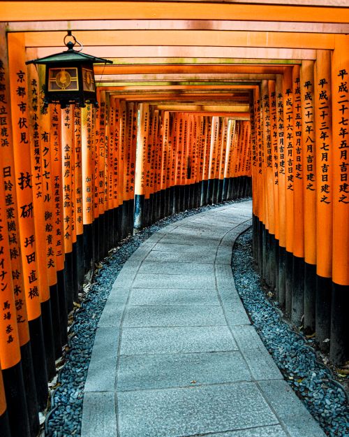 Free Explore the mesmerizing path of torii gates at Fushimi Inari Shrine, Kyoto, Japan. Stock Photo