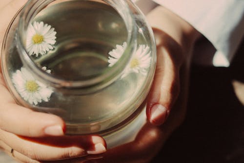 Person Holding Jar With Water and White Flowers