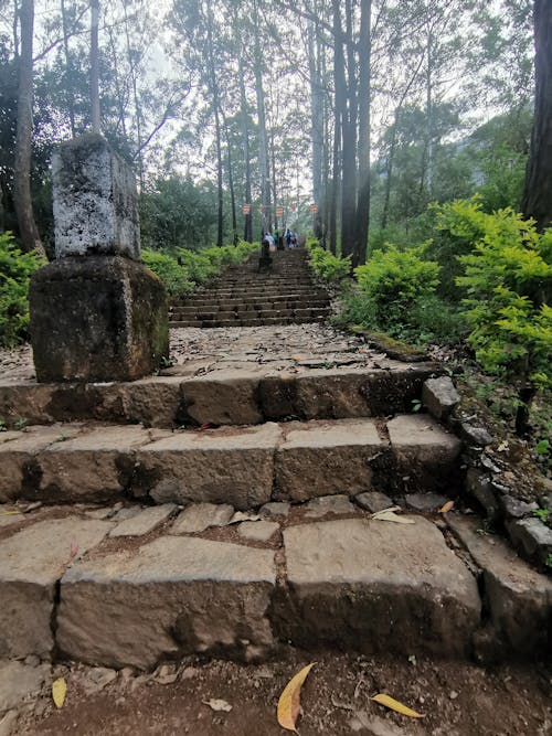 Foto profissional grátis de escadaria, montanha, natureza