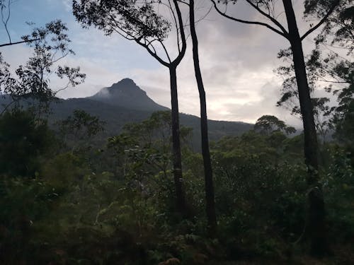 Foto profissional grátis de espiada de adams, montanha, Sri Lanka