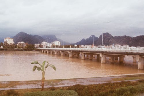  View of a Bridge and Mountains in City 