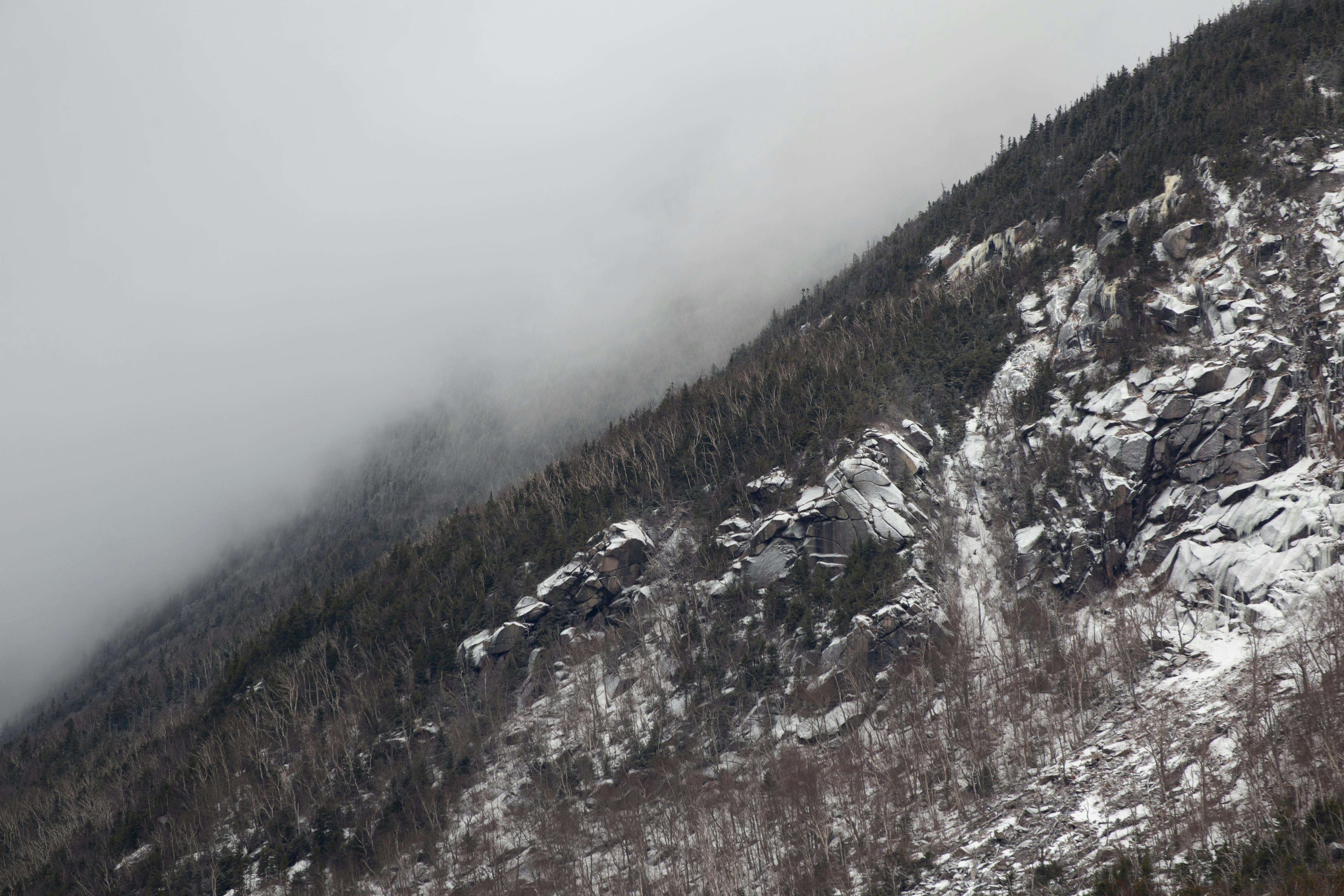 free nature stock photography