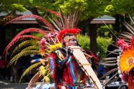 A native American performer in vibrant traditional attire playing a woodwind instrument outdoors.