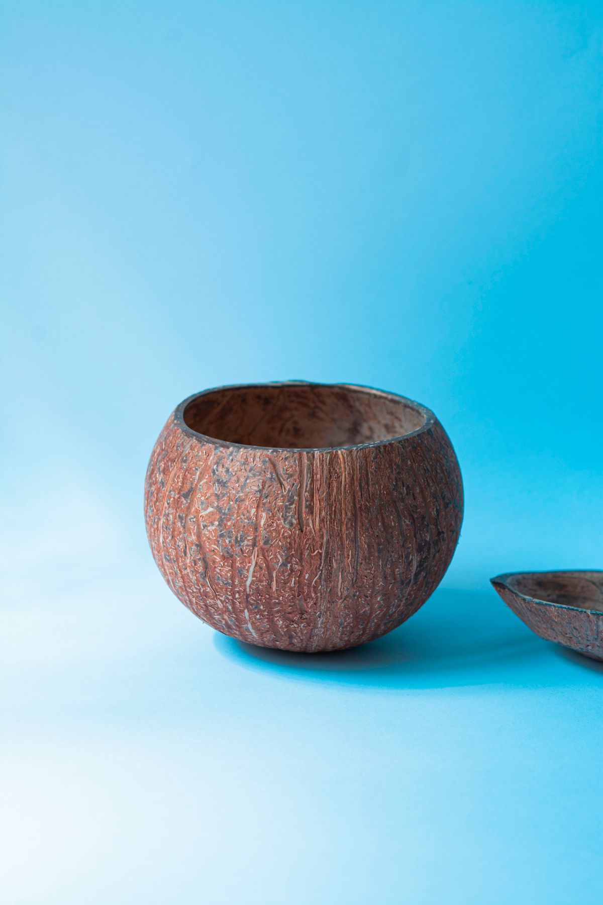 Natural coconut shell bowl — example of craftsmanship, not a TropiQs listing