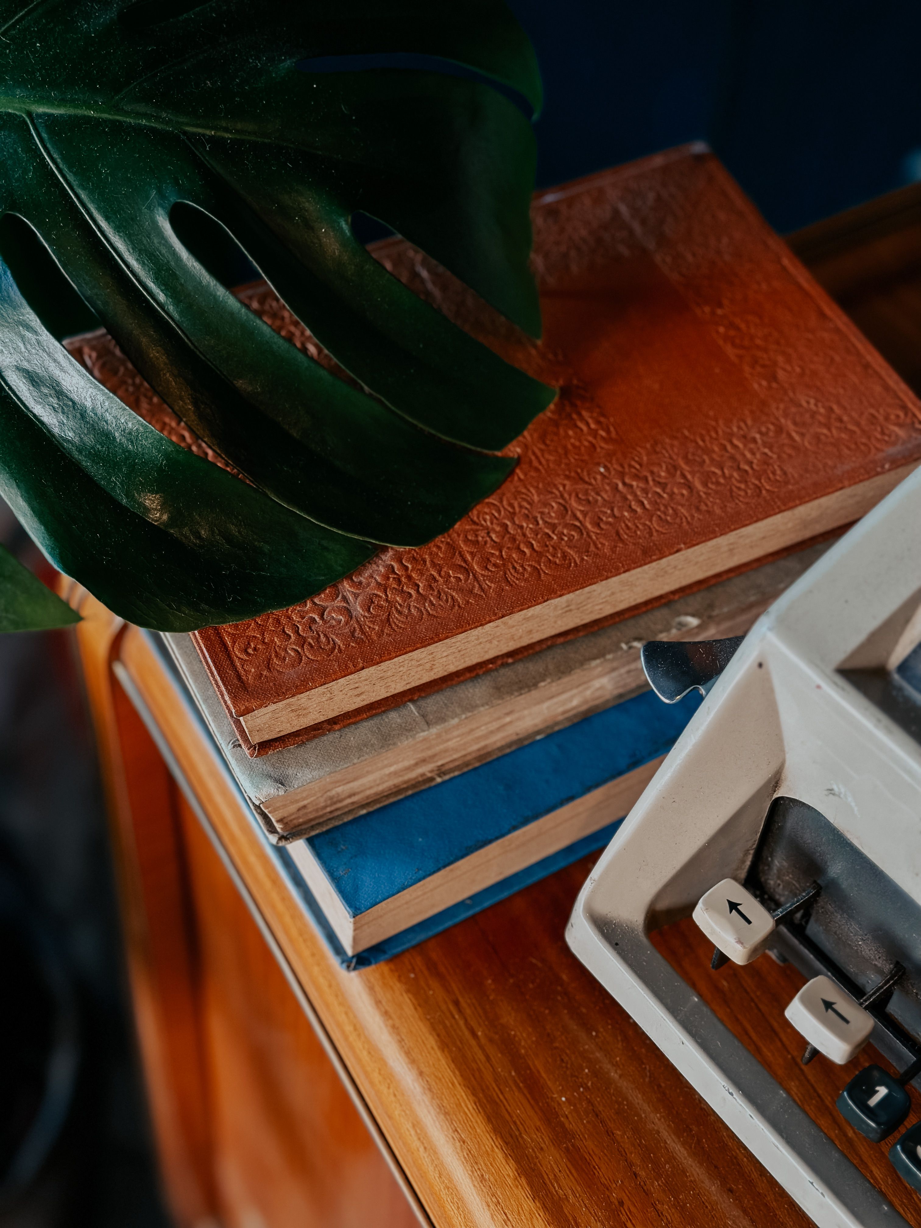 A cozy scene with vintage typewriter, stacked books, and a green leaf on wooden desk.