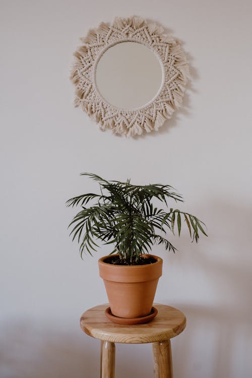 Mirror over Plant on Chair