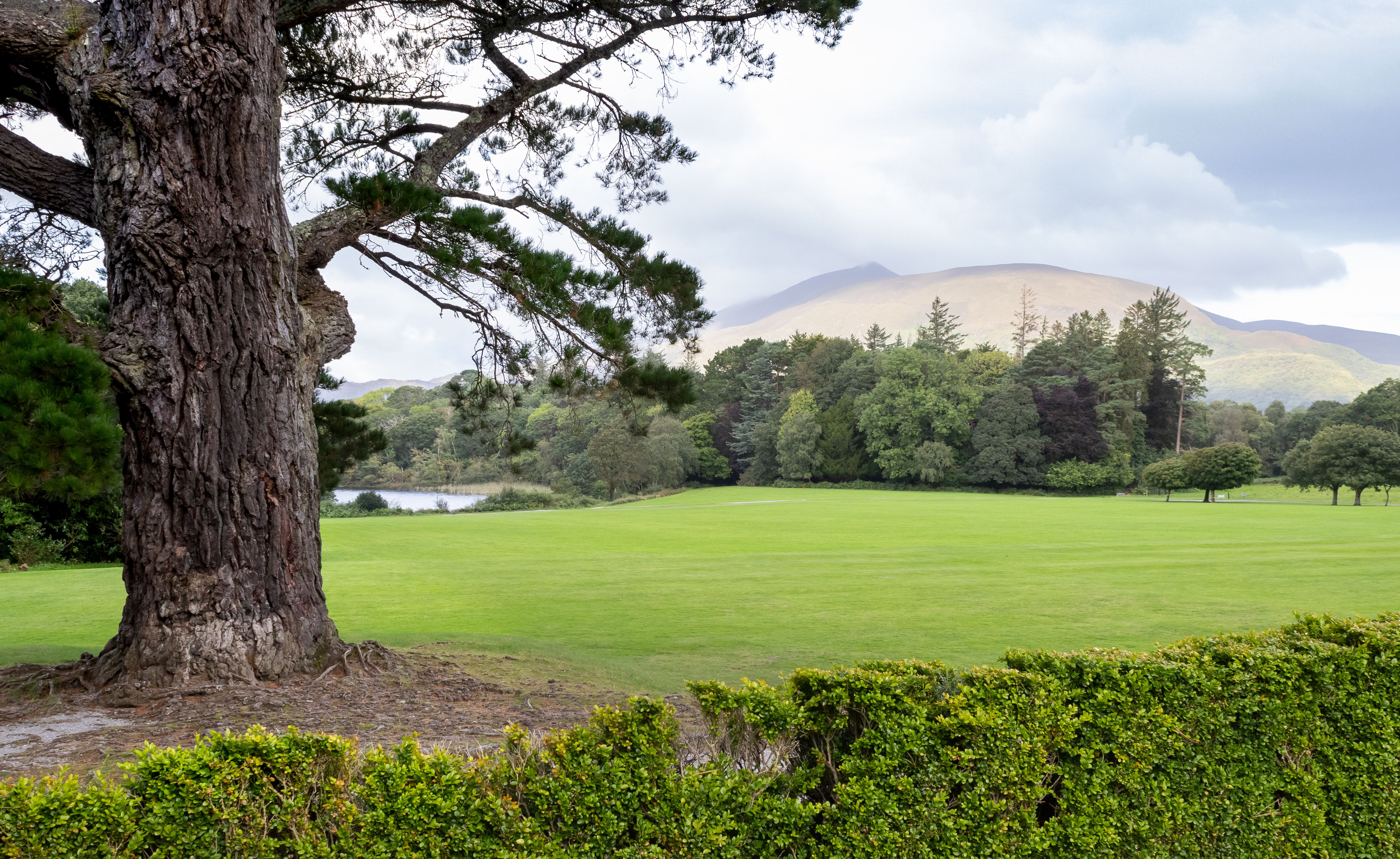 Killarney, Ireland — sights worth exploring · stay connected with a Killarney eSIM from My Holiday SIM