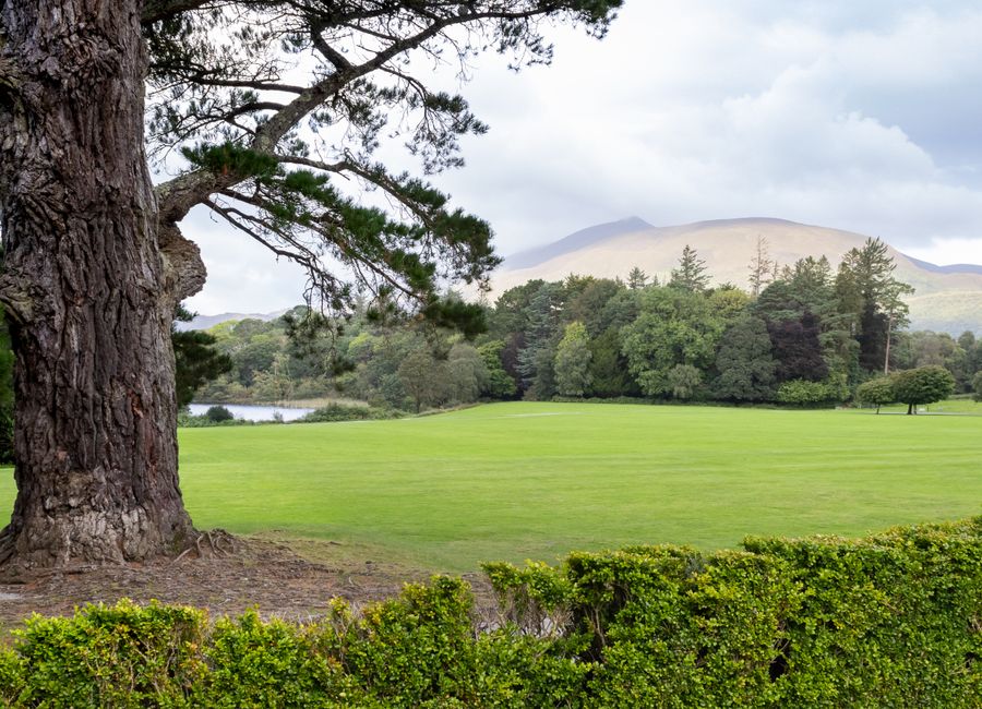 Killarney, Ireland — sights worth exploring · stay connected with a Killarney eSIM from My Holiday SIM
