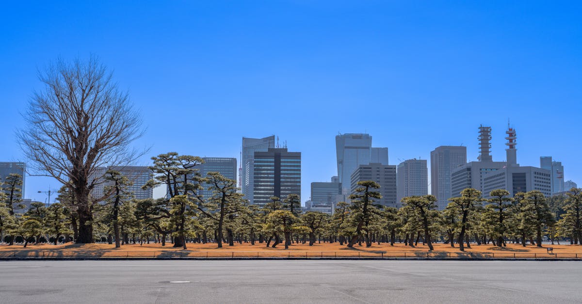 关于独立运动纪念日的旅游视频事件分析 关于独立运动纪念日的旅游视频事件分析