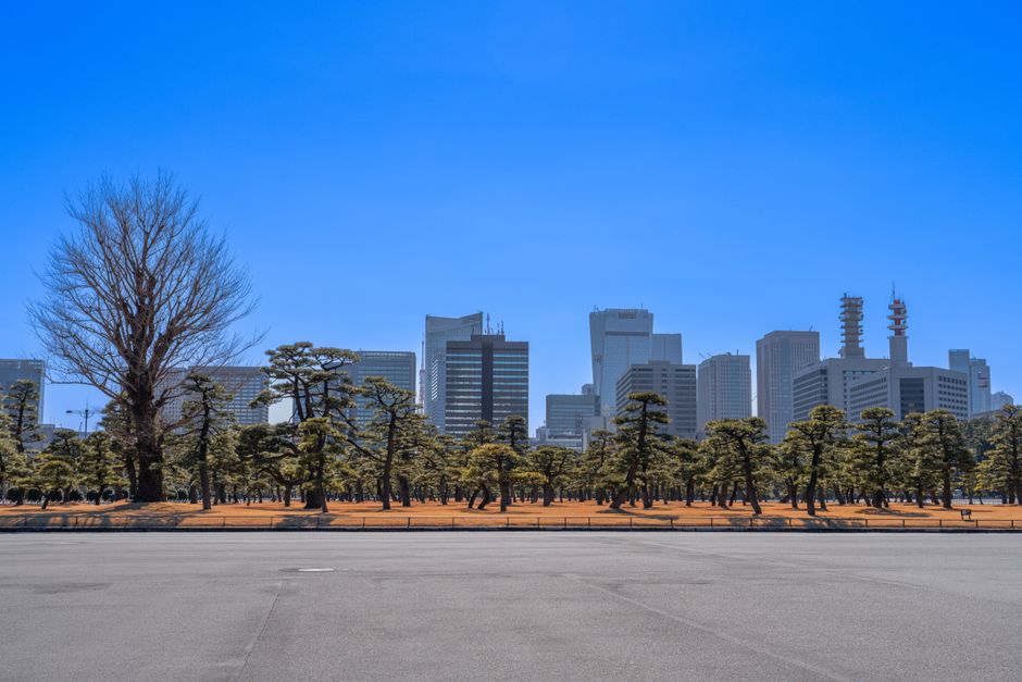 Panoramic view of Tokyo skyline above the serene Imperial Palace Gardens.