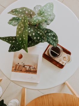 A flat lay of a table featuring a houseplant, coffee, and a magazine.