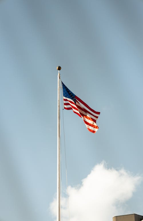 Foto profissional grátis de acenando, Estados Unidos da América, EUA