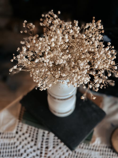 Dried Babys Breath Flowers in a Vase 