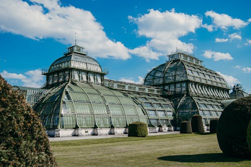 คลังภาพถ่ายฟรี ของ palmenhaus schonbrunn, จุดสังเกต, จุดหมายการท่องเที่ยว