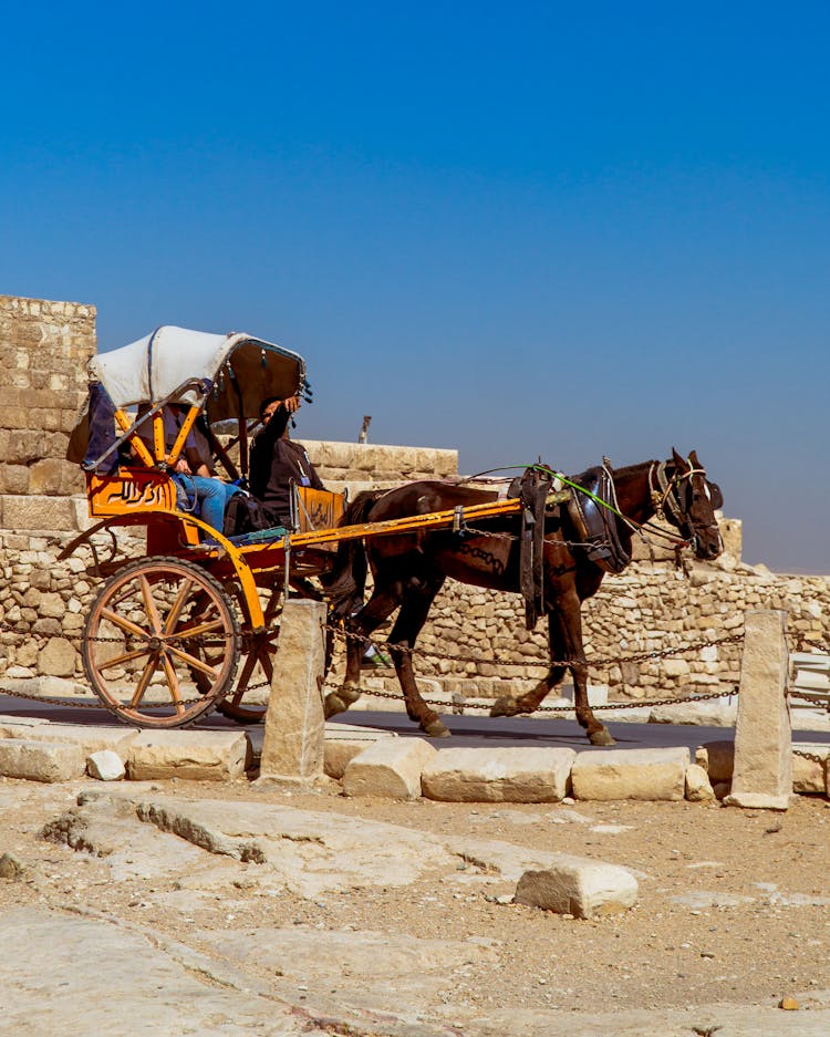 Carriage With Horses In Old Desert Town 