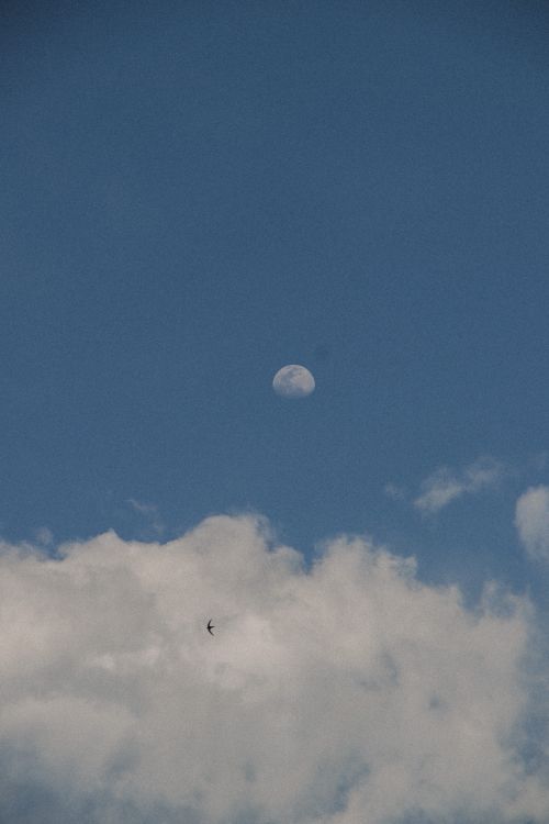 Free Capture of the moon surrounded by fluffy white clouds in a clear blue sky during the day. Stock Photo