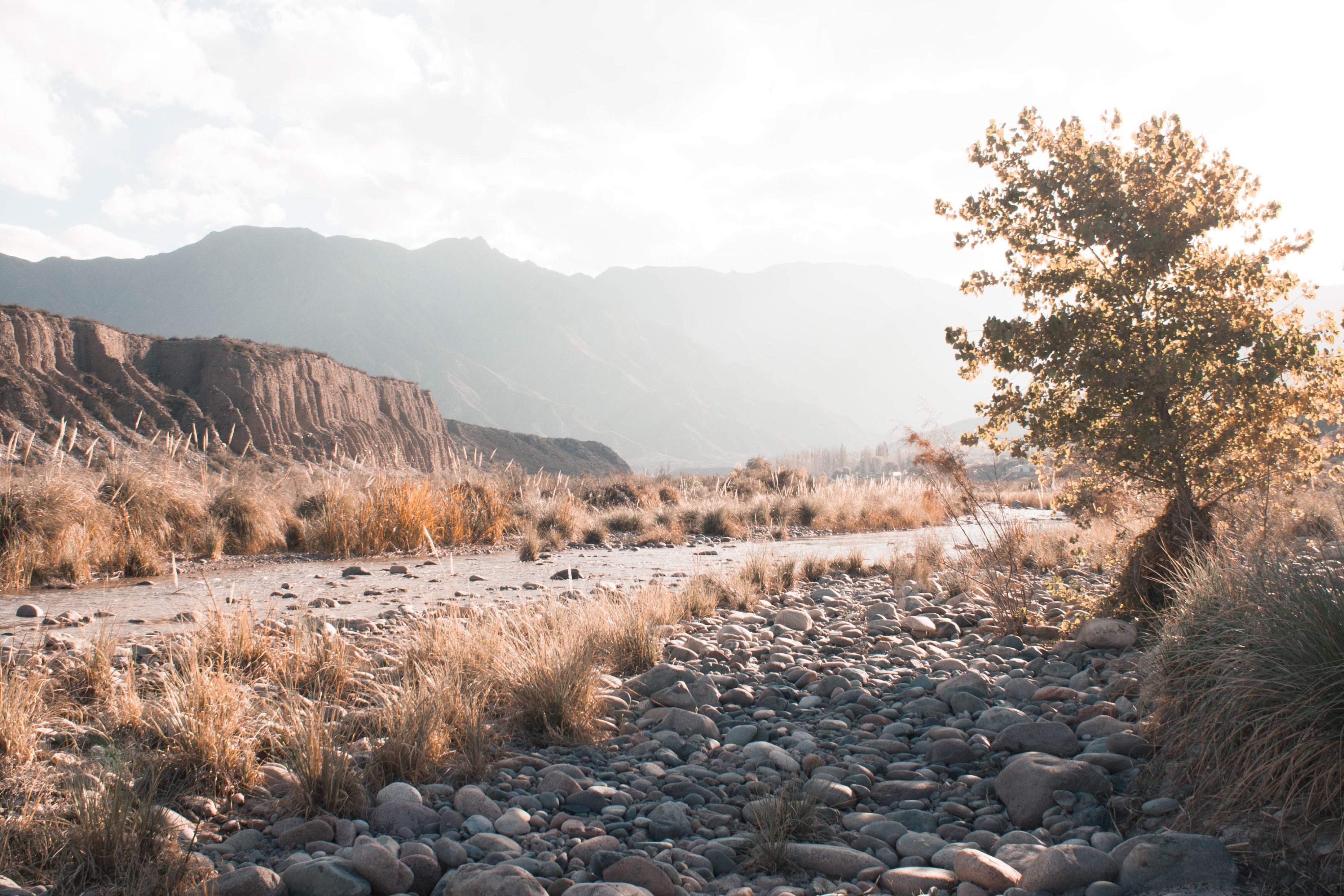 Sunlight over Stones near Footpath · Free Stock Photo