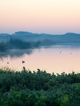 在南非开普敦，一个平静的泻湖上，日出宁静，薄雾温柔，远山朦胧