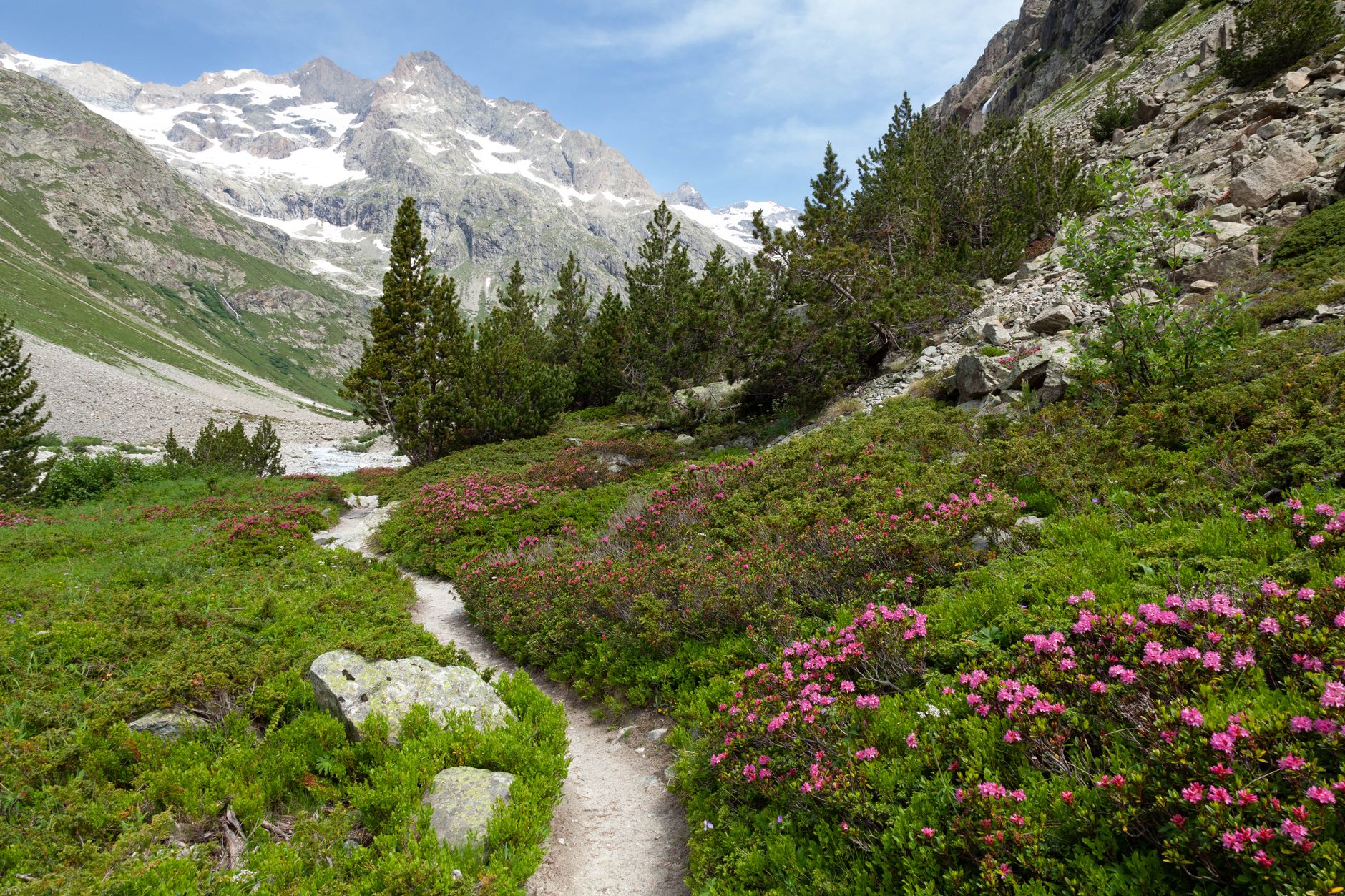 Parcours Vita à Moubra