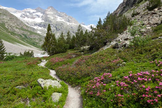 A picturesque alpine trail with wildflowers and snowcapped peaks in Saint-Christophe-en-Oisans, France.
