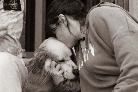 Artwork for Communicating with Animals: Intuition, Healing & Hypnosis with Anne Angelo Webb