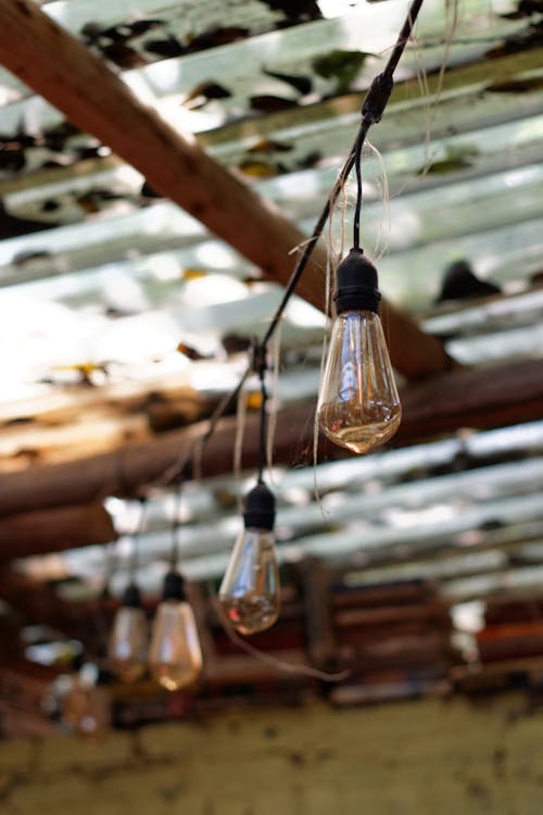 Free stock photo of ceiing, lightbulbs, lights