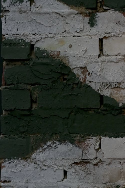 Foto d'estoc gratuïta de blanc i verd, mur, mur de maons