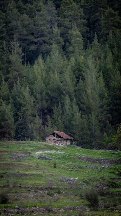 Gratis lagerfoto af bjerge, dal, hus