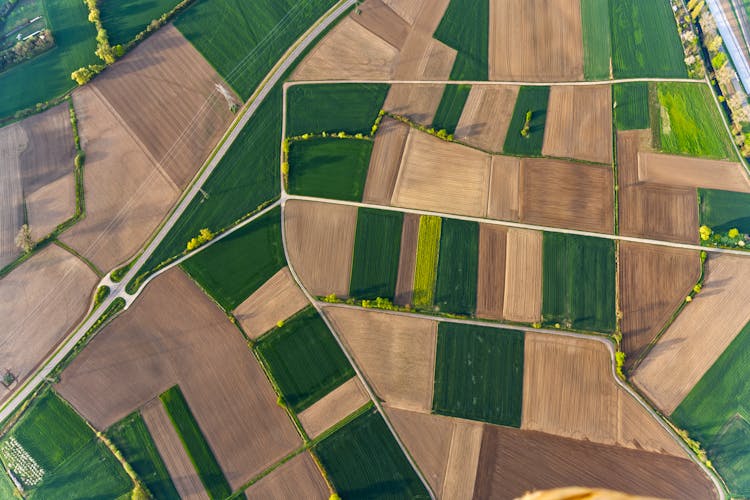 Aerial View Of Patchwork Fields