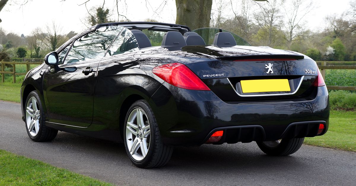 Modern Convertible Car on Road in Park · Free Stock Photo