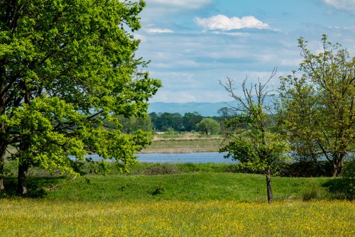 Free A peaceful scenic view featuring green meadow, trees, and a tranquil river under a bright blue sky. Stock Photo